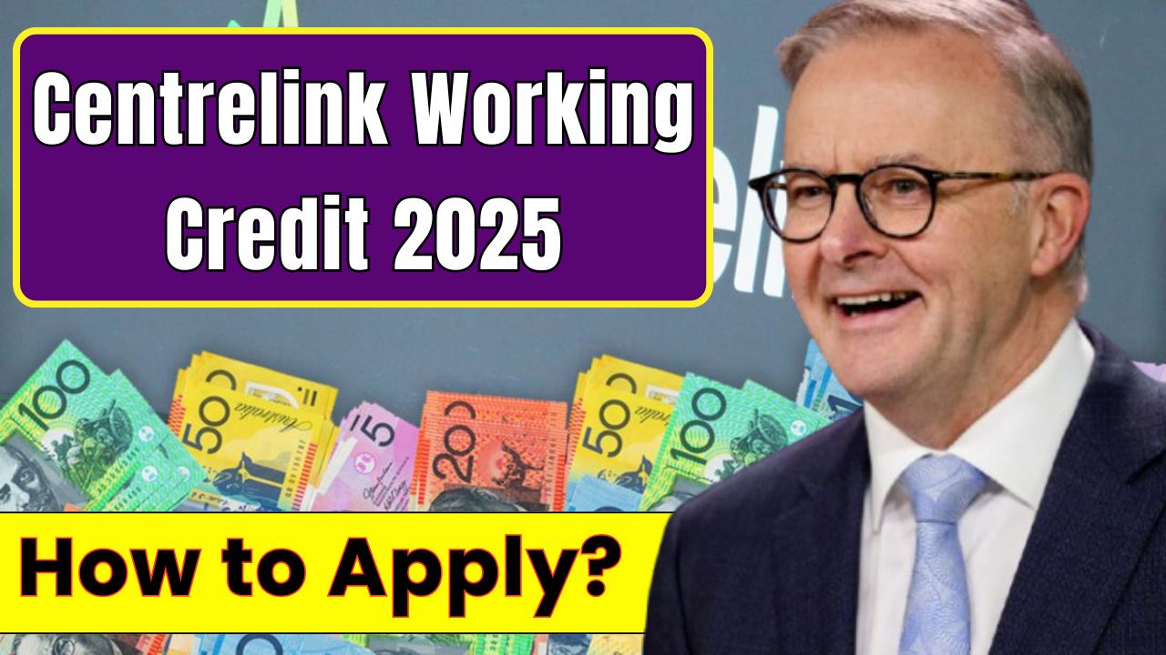 Centrelink Working Credit 2025