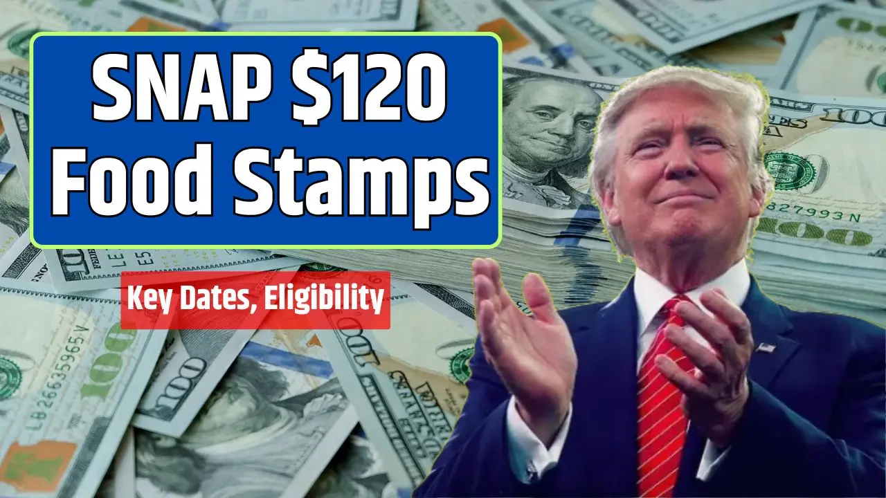 SNAP 120 Food Stamps